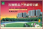 房地产广告
