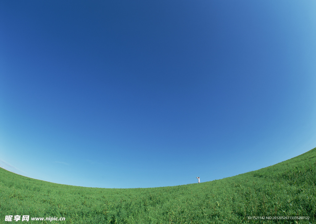 天空草地