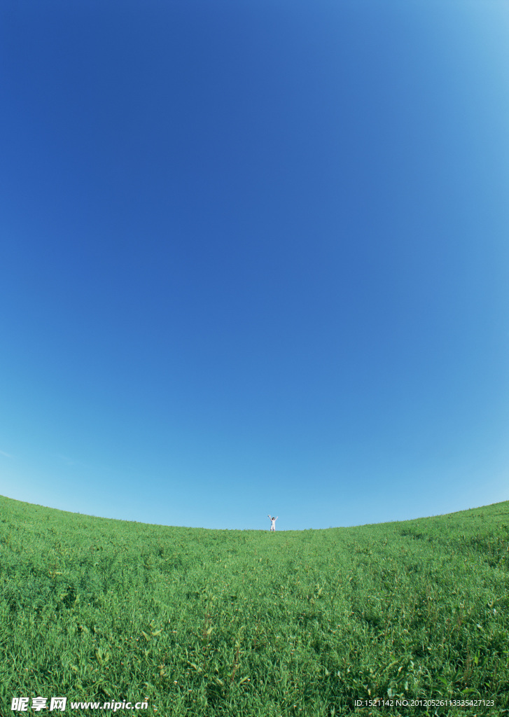 天空草地