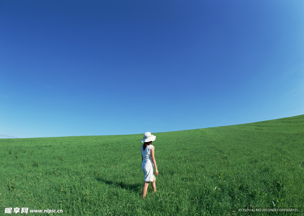 天空草地