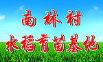 育苗基地展板