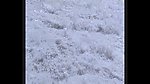 水波山洪