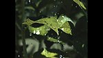 水滴水珠