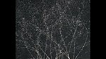 水滴水珠