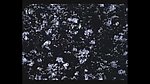 水滴水珠波浪