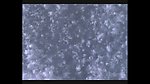 水滴水珠波浪