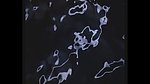 水滴水珠波浪