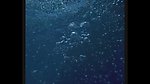 水泡波涛波浪
