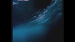 水泡波涛波浪