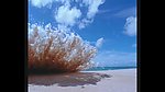 水泡波涛波浪