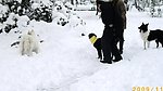 好大雪