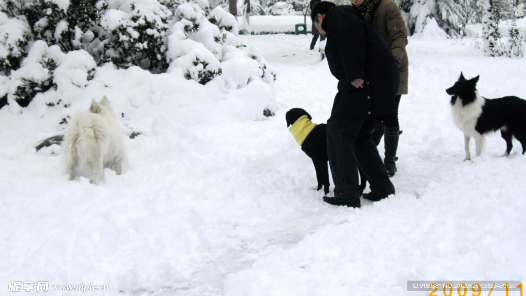 好大雪