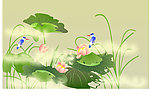 荷花