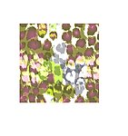 豹纹花型 豹纹 印花面料