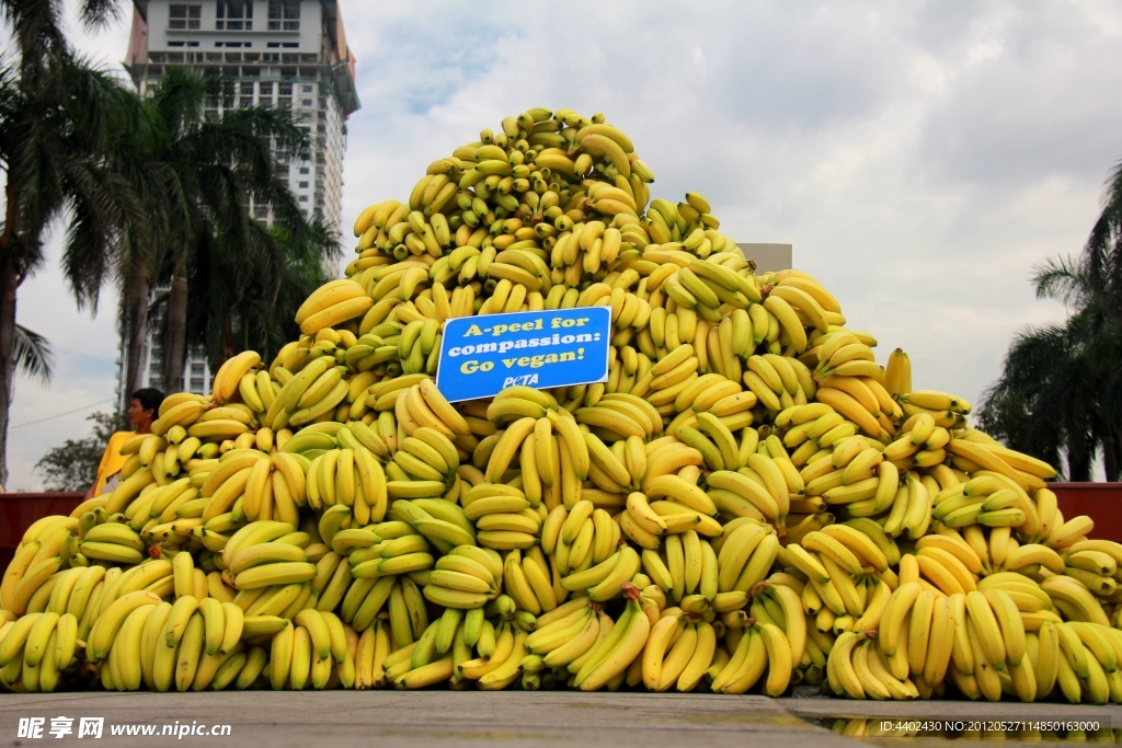 一大堆香蕉
