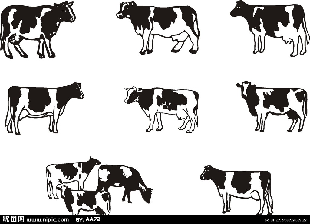 牛 奶牛 矢量图