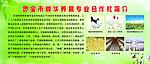 帅华养禽专业合作社简介