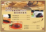餐垫纸
