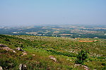 茴香山下