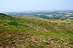茴香山