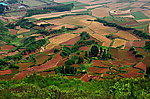 茴香山下