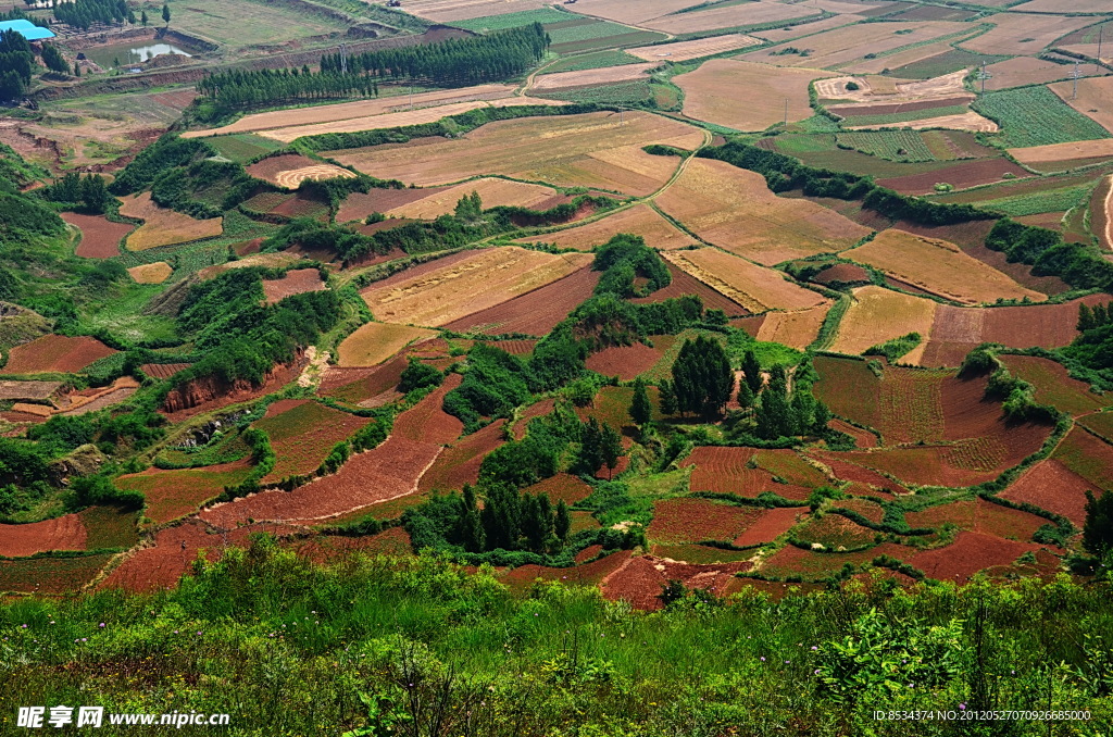 茴香山下