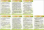 中小学生营养膳食制度板