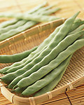 四季豆