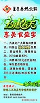 约会春天