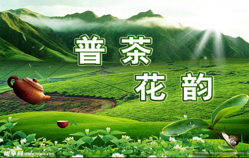 茉莉花茶