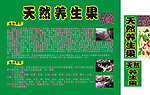 天然养生果肾豆