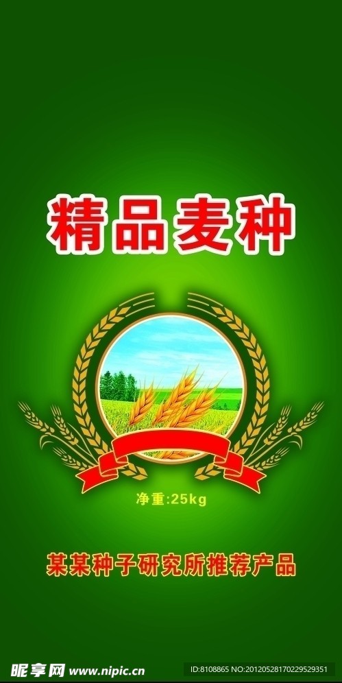 小麦种子