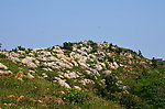 红石山