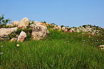 红石山