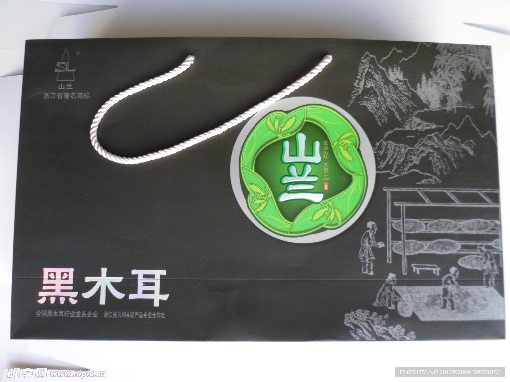 黑木耳