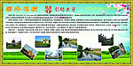 国外名校