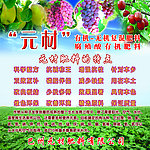 肥料广告