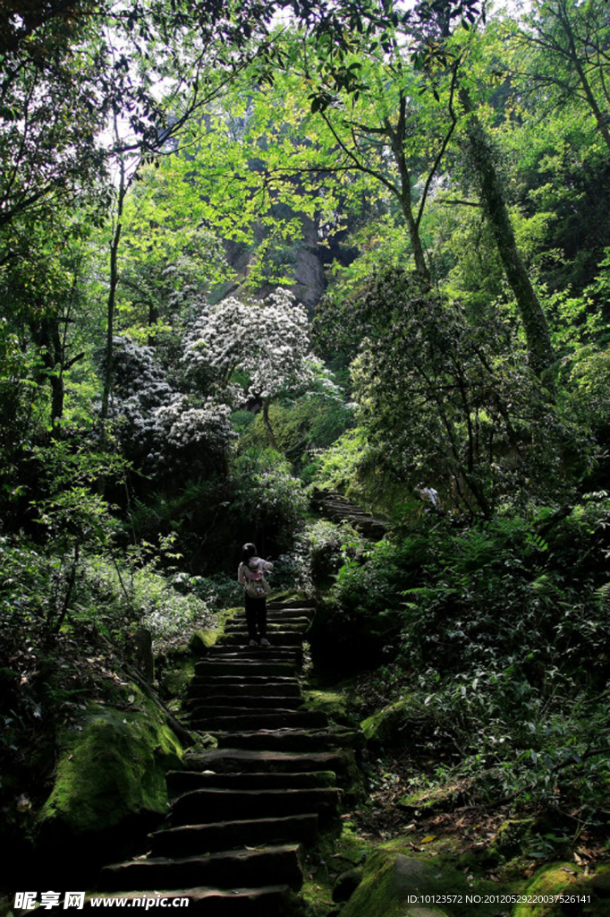 石阶梯