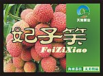 妃子笑