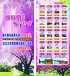我和樱花有个约会
