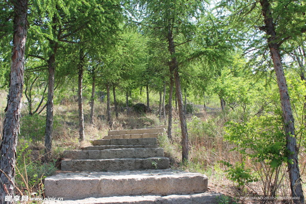 松间石路