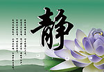 静雅