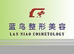 蓝鸟