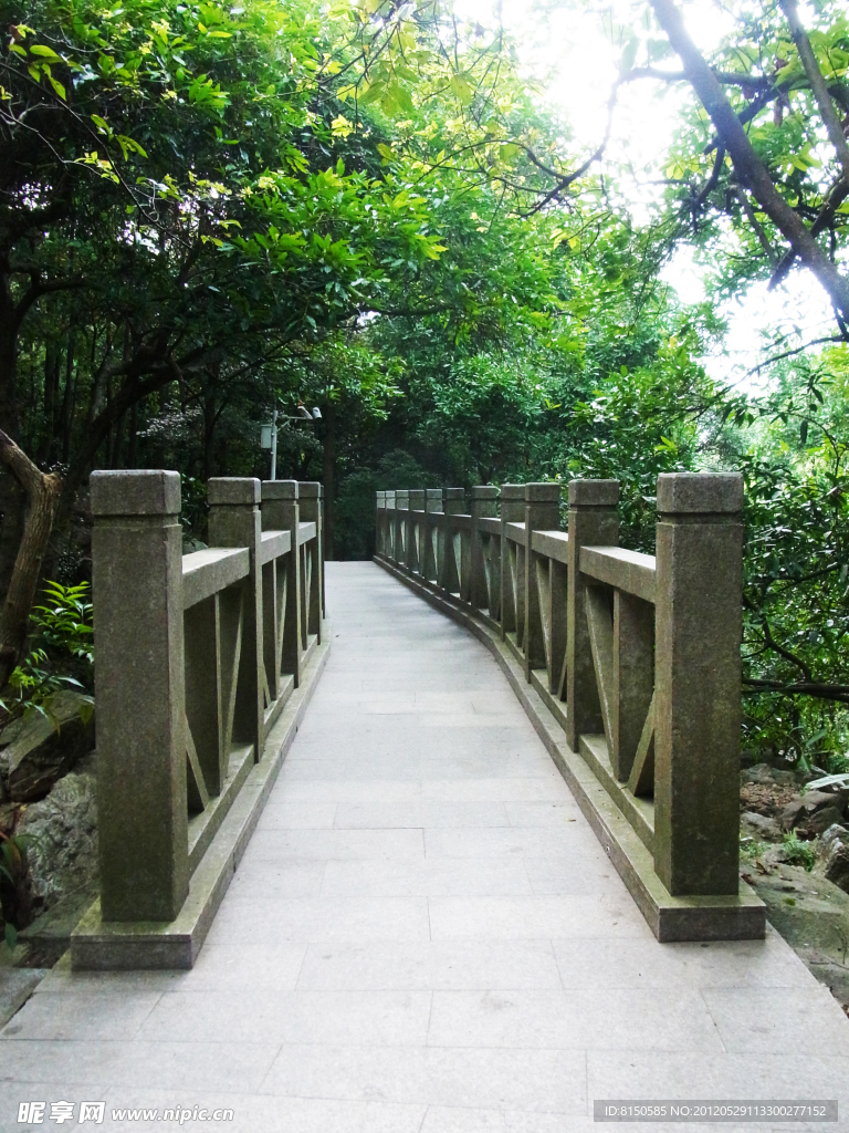 凤凰山树林小桥