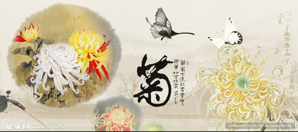菊花