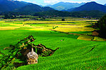 吴屯梯田