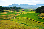 吴屯梯田