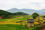 吴屯梯田