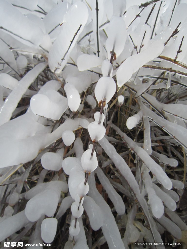 冰雪