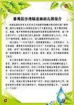 学校简介 教师简介